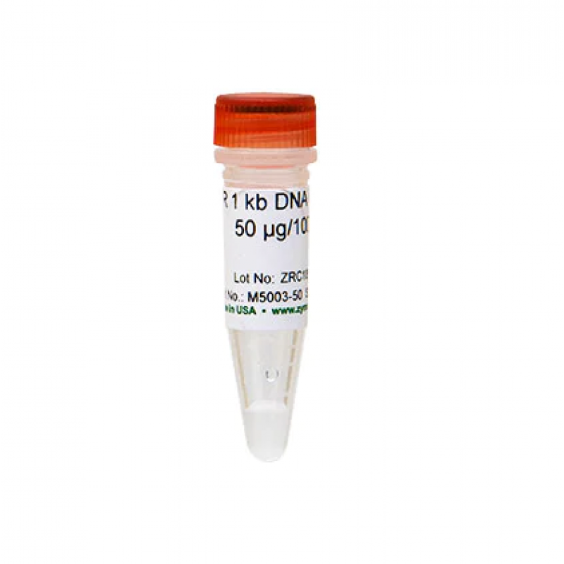 zm5 (1)
